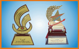 Tổ chức Giải thưởng Bông lúa vàng Việt Nam lần thứ nhất